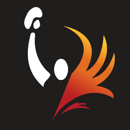 PhoenixBoxOtt's profile picture. UNIQUE non-competitive (no sparring) Boxing Training Gym.