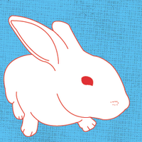 Rabbitat (@rabbitat) 's Twitter Profile