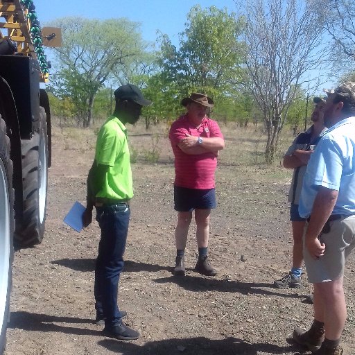 DlytDominique's profile picture. 