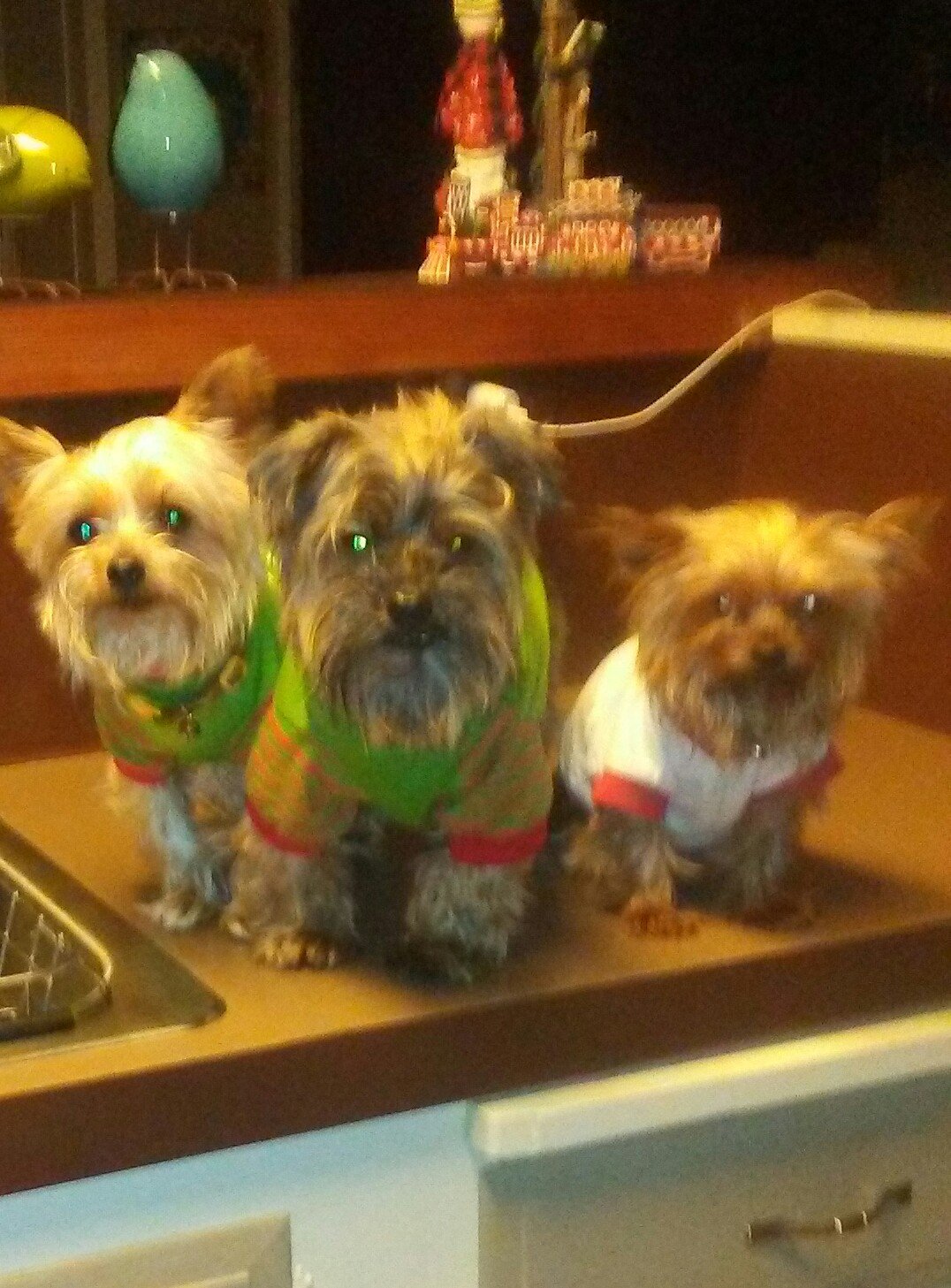 Rescues yorkies 🐶 big bravo fan and interior design is my passion.