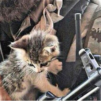 mgrb32_mgrb321's profile picture. 