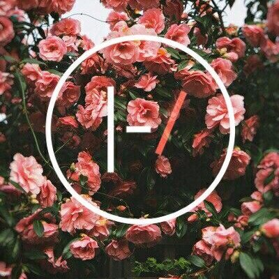 Weirdjahia's profile picture. Im weird, nice , and creative