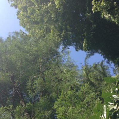Looking to increase the UK zero waste contingent outside of London. Hoping to inspire others to be a little bit zero waste or even a little bit more zero waste.