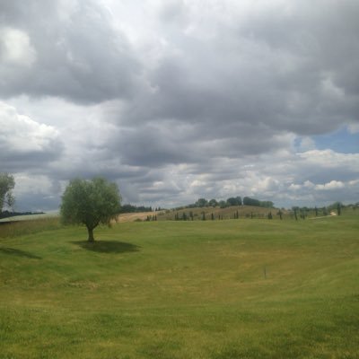 AzelioAluigi's profile picture. Food & Lifestyle Altri sport