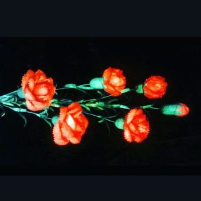 aysemustun's profile picture. 🇹🇷 NE MUTLU TÜRK'ÜM DİYENE🇹🇷