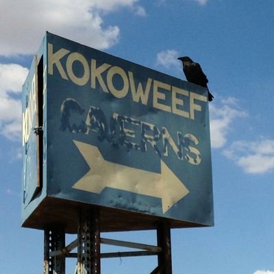 Kokoweef's profile picture. Christian, conservative, Constitutional originalist.  Living in the Mojave Desert.