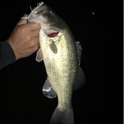 ENwOT7gYDDiyQ5F's profile picture. ばすつり大好きです！福岡でつりしてます！