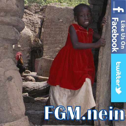 Together we figth against #FGM
Gemeinsam sind wir stark - gemeinsam gegen die weibliche Genitalverstümmelung
#endFGM
Stopp der sexualisierten Gewalt #stopFGM