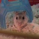 Gus Bryant Baker - @gusthehamster16 - Twitter