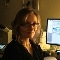 Bethan Lloyd-Lewis (@bethlloydlewis) 's Twitter Profile