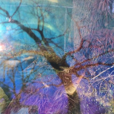 tomroppelt's profile picture. Sound Maker / Creative misfit