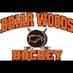Briar Woods Puck (@bwhs_hockey) Twitter profile photo Briar Woods Puck (@bwhs_hockey) Twitter profile photo