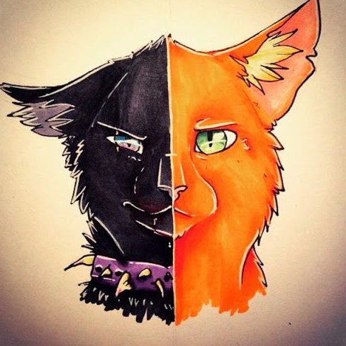 Hey there! I'm glad you stumbled upon this page! This twitter page is for fans of Warriors and also to help the Warrior Cats amino community better recognition!