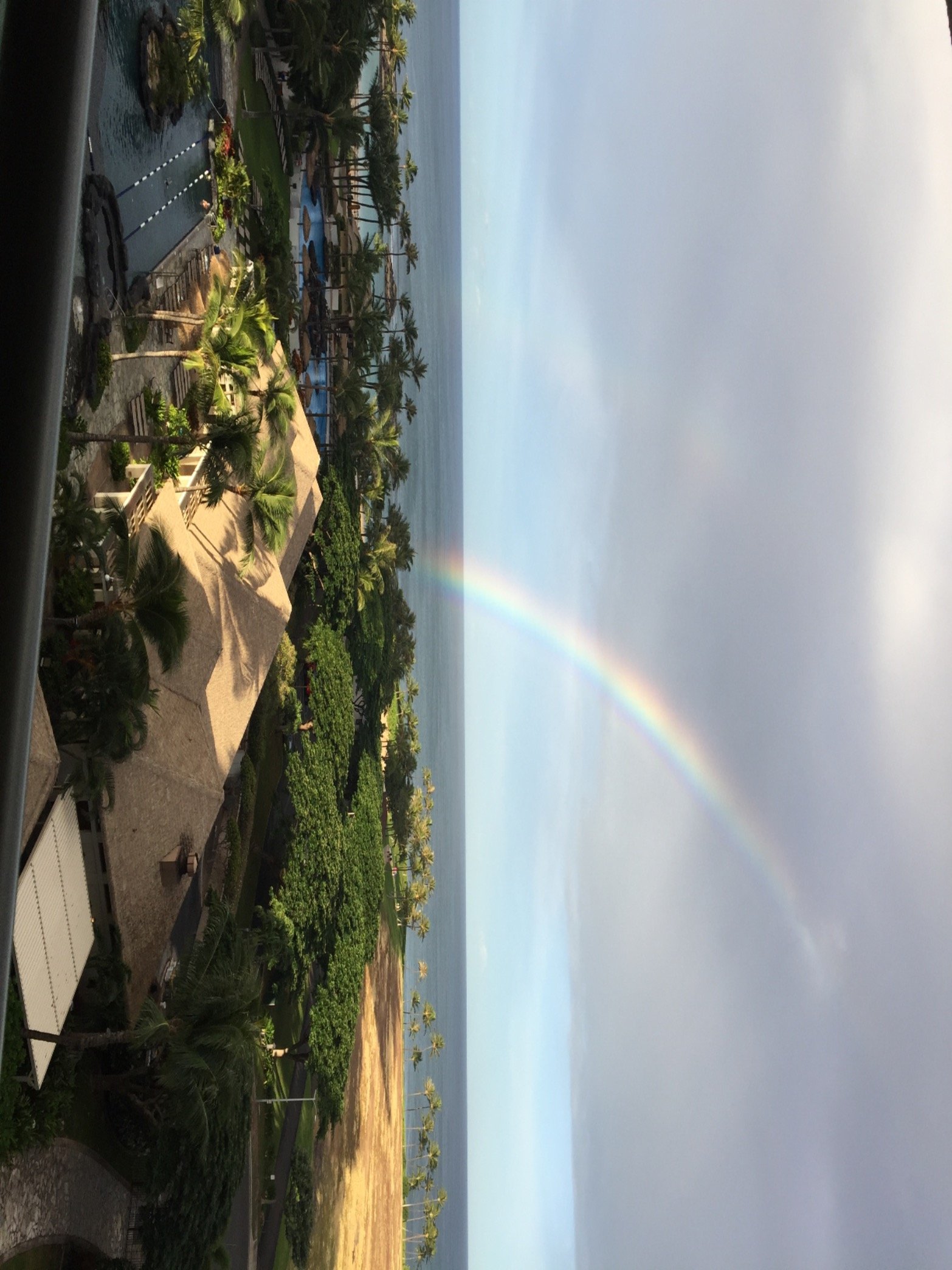 Lp64351222's profile picture. 