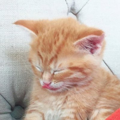 saree95's profile picture. what you call spoiled youth