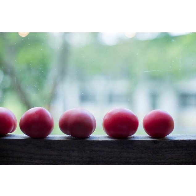 nattin007's profile picture. eat or not