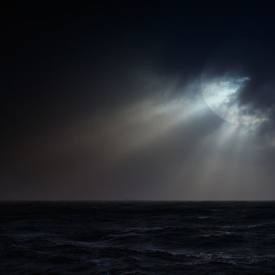 tdurff's profile picture. Liz Cheney:I know the nation can survive bad policy. We can’t survive a president who is willing to torch the Constitution.