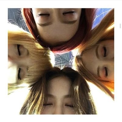 IsmglM's profile picture. 🐣