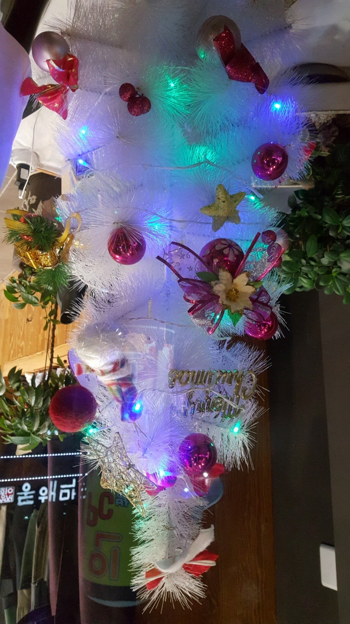 RXosCNUB9HPWGk0's profile picture. 