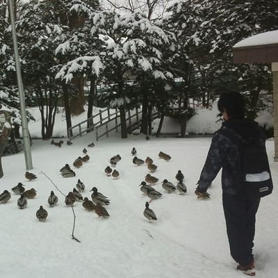 北野中→札幌南高校66期(剣道部)→京都大学工学部情報学科→京都大学情報学研究科通信情報システム専攻→ITエンジニア＠東京
 スノパン47th(リスの小屋) 熊野寮OB