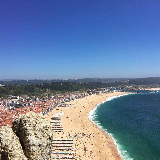 wassabifan10's profile picture. subscribe  to  my youtube: