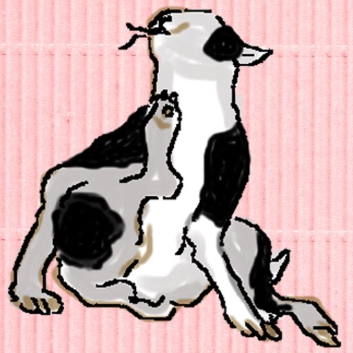 たまポッチさんのプロフィール画像