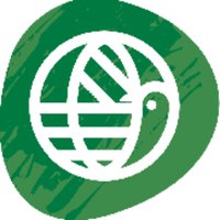 OIEC (@oiec2016) 's Twitter Profile