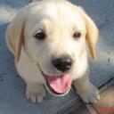 Florence Lin - @flowerence - Twitter