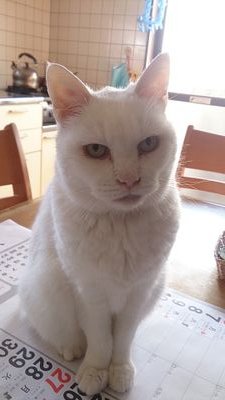 puni2さんのプロフィール画像