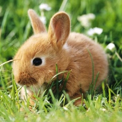 Mounipressu's profile picture. mounikabuji
studied at velammal
college is sree sastha
08-10-1996
B.E. computer science 
engineering