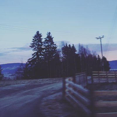 JuliaMarch2's profile picture. lol