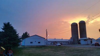 home of Hulsdale Holsteins,  the Hulshof family. Farm tour host for the 2017 National Holstein Convention. Farming in the glow of T.O