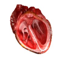 Simon A. Mahler (@mahlerheartpath) 's Twitter Profile