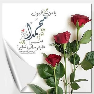 mahmoud12010's profile picture. لا حول ولا قوة الا بالله العلي العظيم