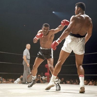 MahrezDje's profile picture. Vive Cantona qui a dit toute la vérité sur le racisme foot balistique en France la majorité d journalistes français ne connaissent pas le foot ou fon semblant?