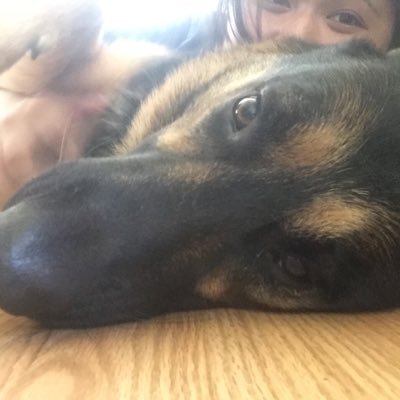 heyitsme727's profile picture. I'm a ninja, I have no bio.