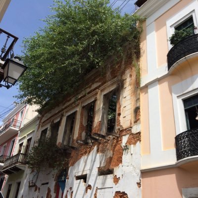 SommerArizona's profile picture. she/her