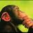 ashadman's profile image
