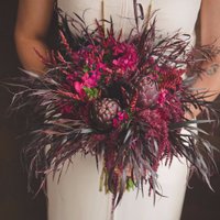 Enchanted Florist(@_Enchanted_) 's Twitter Profile Photo