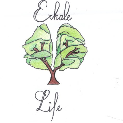 Exhale Life is a TY mini company based in Ardscoil na Trinoide, Athy. With our product we aim to help people to quit smoking.