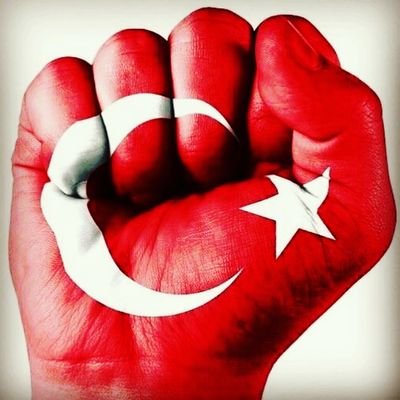TT_AhmetKAYA's profile picture. 🌼