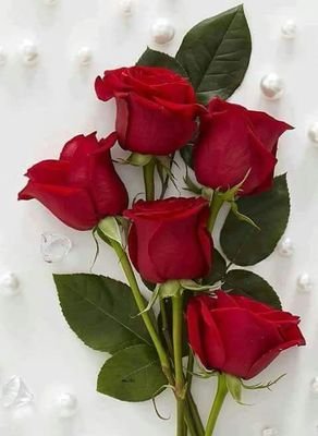 QasifWarraich's profile picture. Warraich