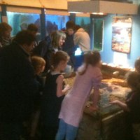 Fowey Aquarium(@FoweyAquarium) 's Twitter Profile Photo