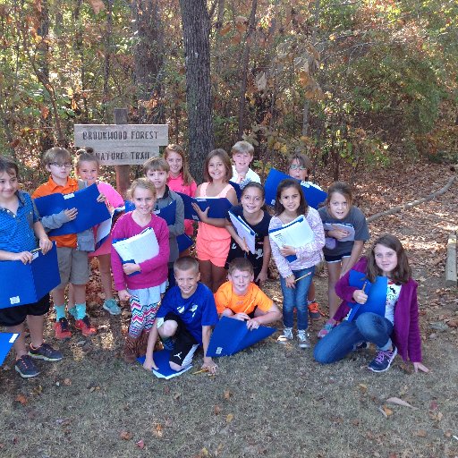 MsStrangesStars's profile picture. 