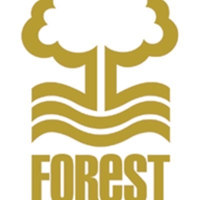 LouisHodkinson1's profile picture. 