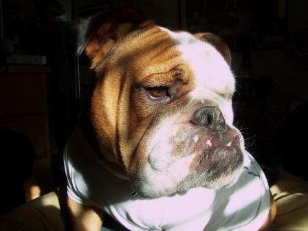 ConorCampbell's profile picture. Proud dad of 3. Padres, Aztecs, Tritons, Chelsea FC. T1 dad. Tweets and opinions are bad and my own