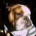 Conor - @ConorCampbell - Twitter