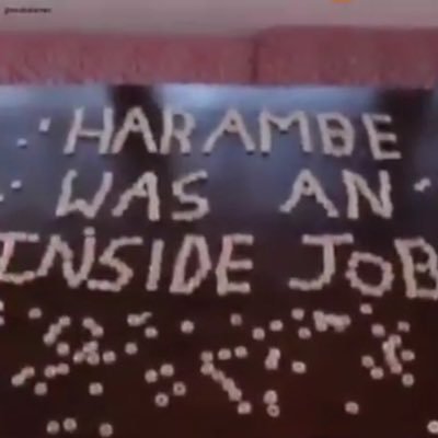 Alohazk's profile picture. lawl