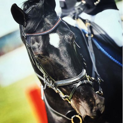 barbiegi's profile picture. 