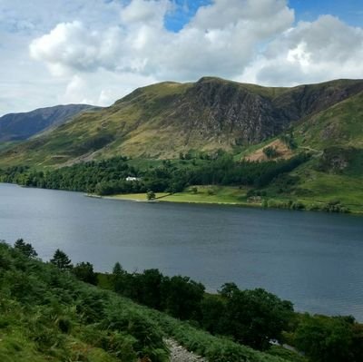 Cherr1DS3's profile picture. Just because I bookmark, it does not mean I endorse or like post. It can mean I might want to read post later.